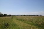 The Meadows